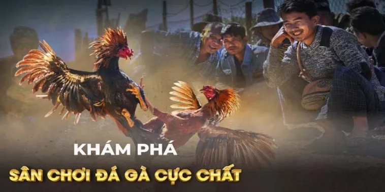 Cách Chơi Đá Gà GA28 Tại QQ88 Chi Tiết Và Bí Quyết Thắng Lớn Cho Người Mới