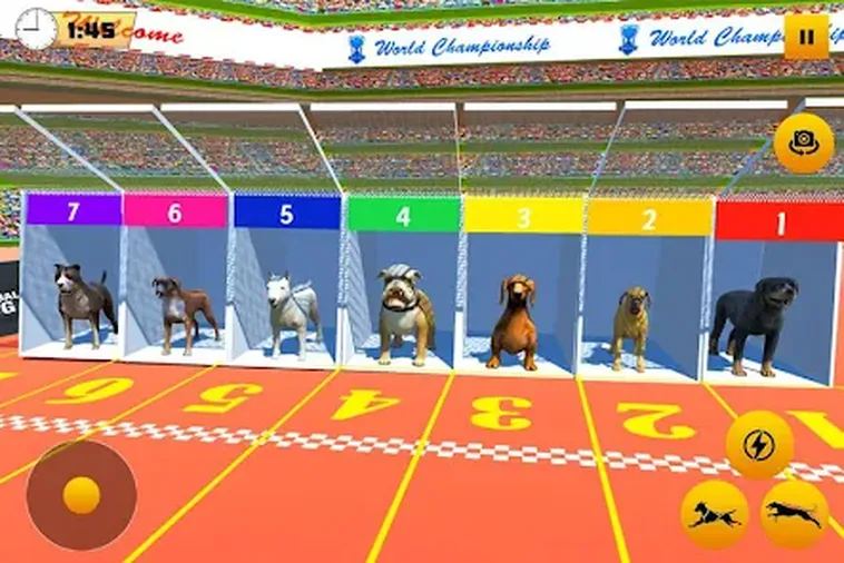 Hướng Dẫn Chi Tiết Cách Chơi Game Nhanh Đua Chó Tại QQ88 Dành Cho Người Mới
